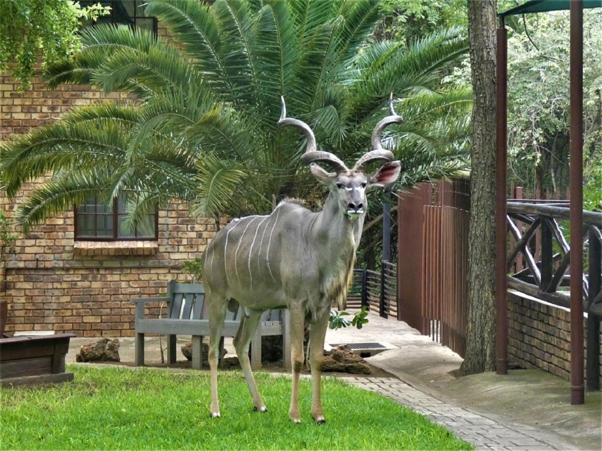 Weltevrede Lodge - Self Catering Houses Marloth Park Dış mekan fotoğraf
